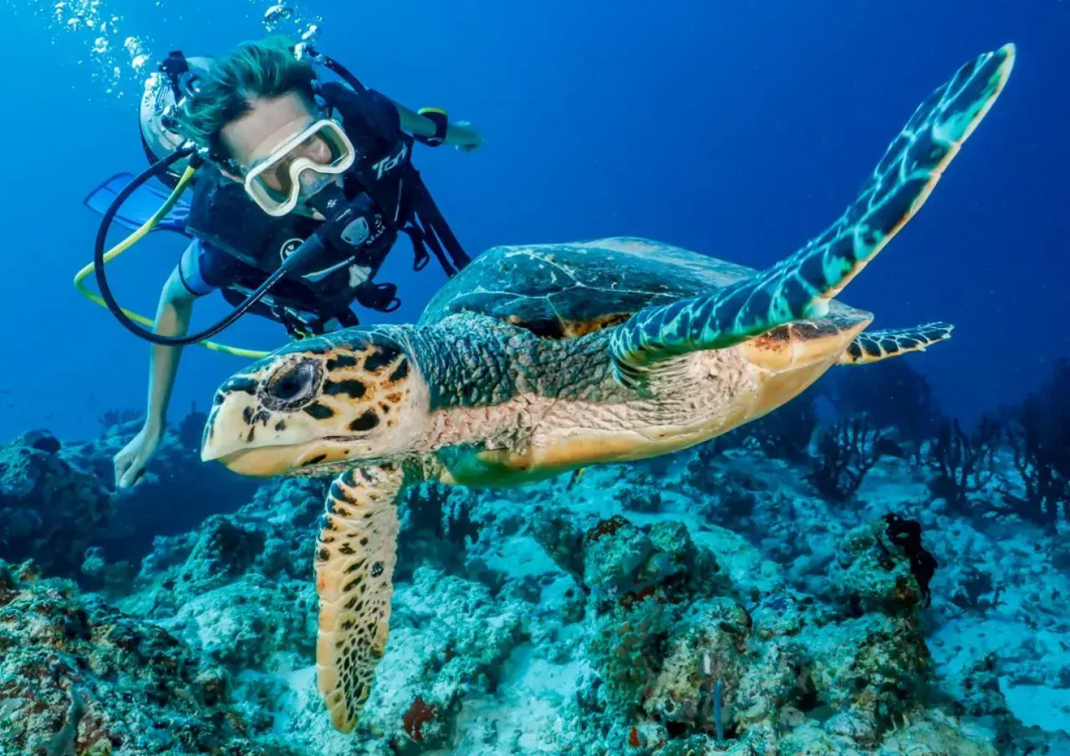 Гостевой дом Blue Wave Maldives