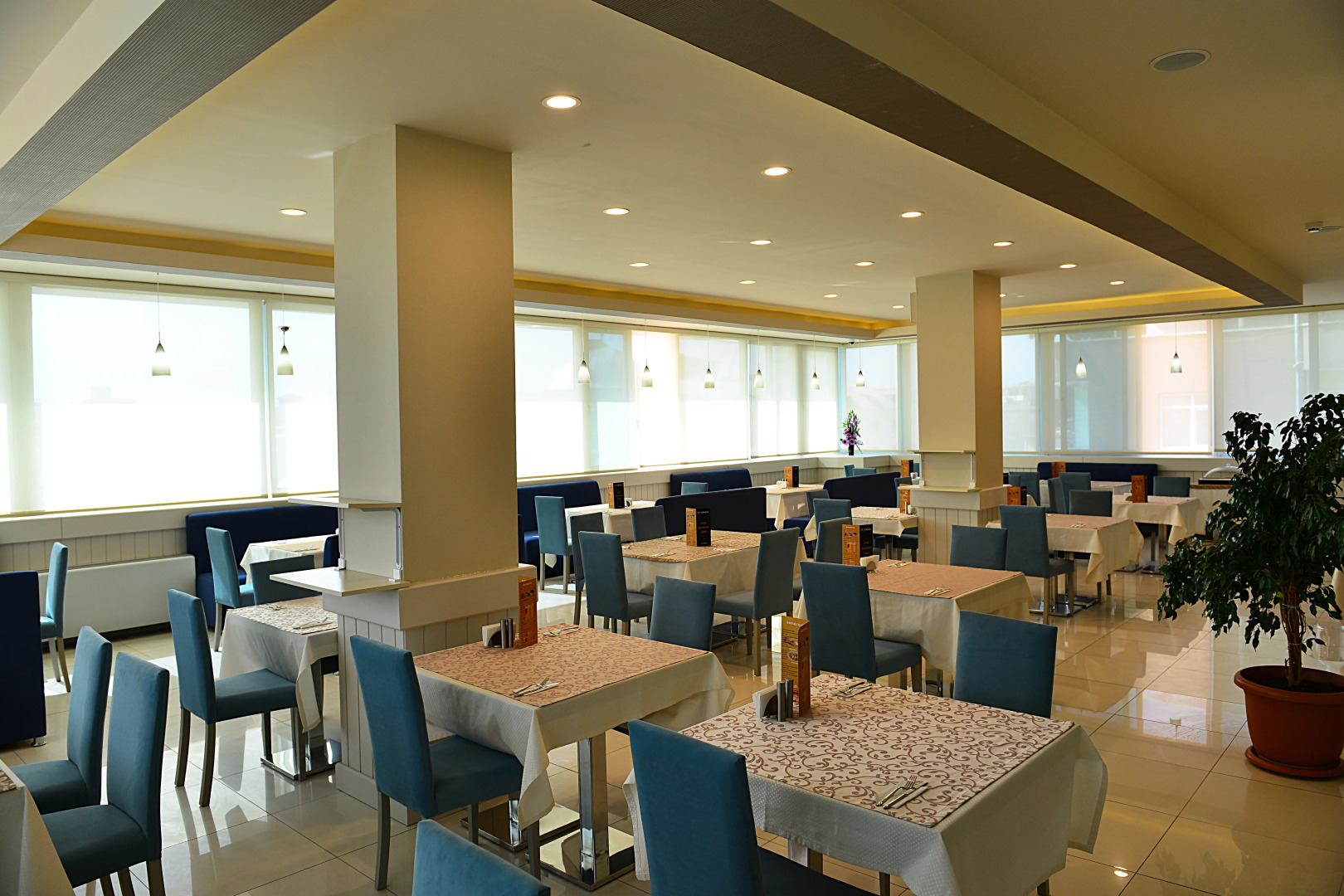 Отель Star Riyal