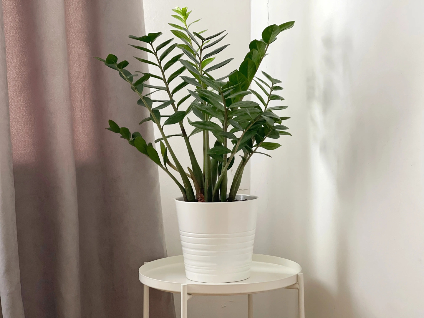 Апартаменты White на Тверской 15