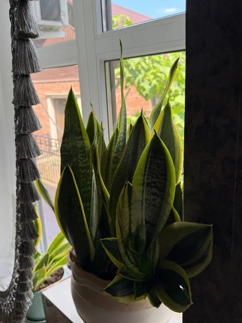 Отель Галар Холл