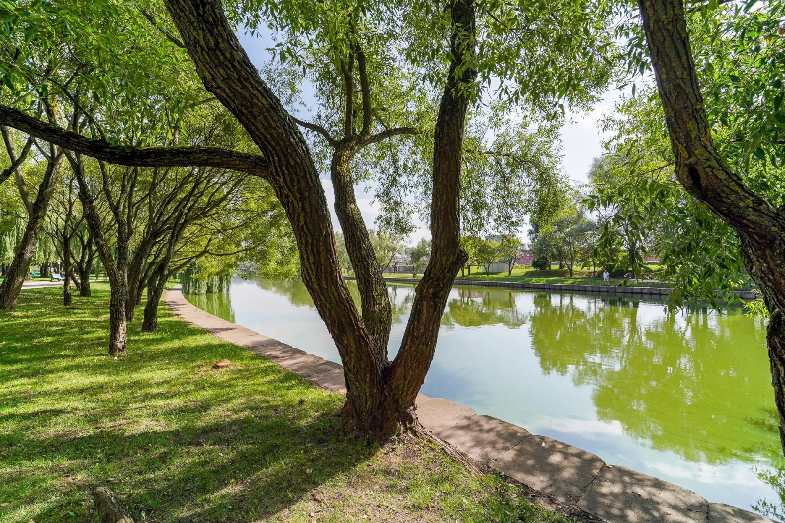 Трехкомнатная Квартира на Красноармейской 24А