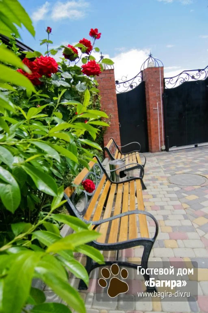 Отель Багира