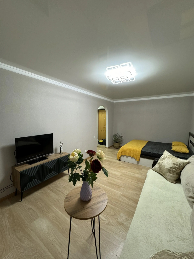 Квартира Однокомнатная Хирурга Нечаева 16