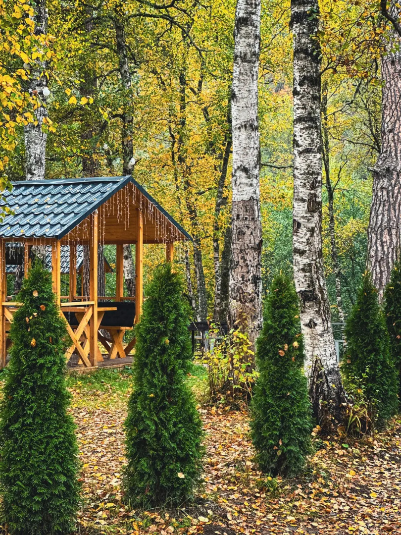 Шале Хвоя трехкомнатный люкс