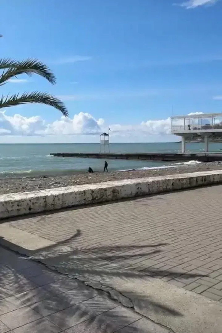 Апартаменты в Сочи центр Хосты с видом на море АК Горка