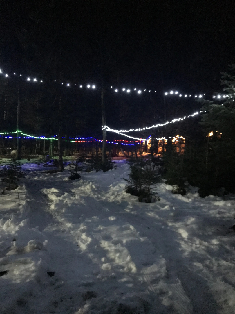 База отдыха Forest house resort