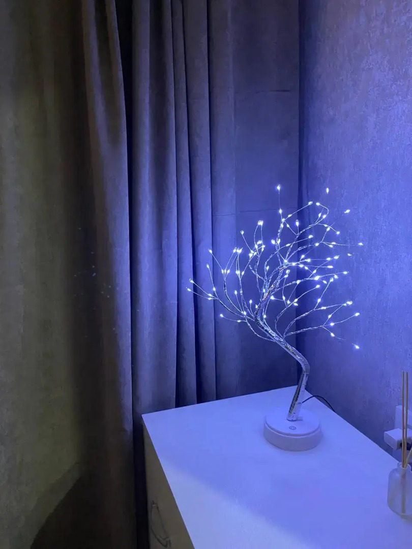 Квартира Большевиков 21А