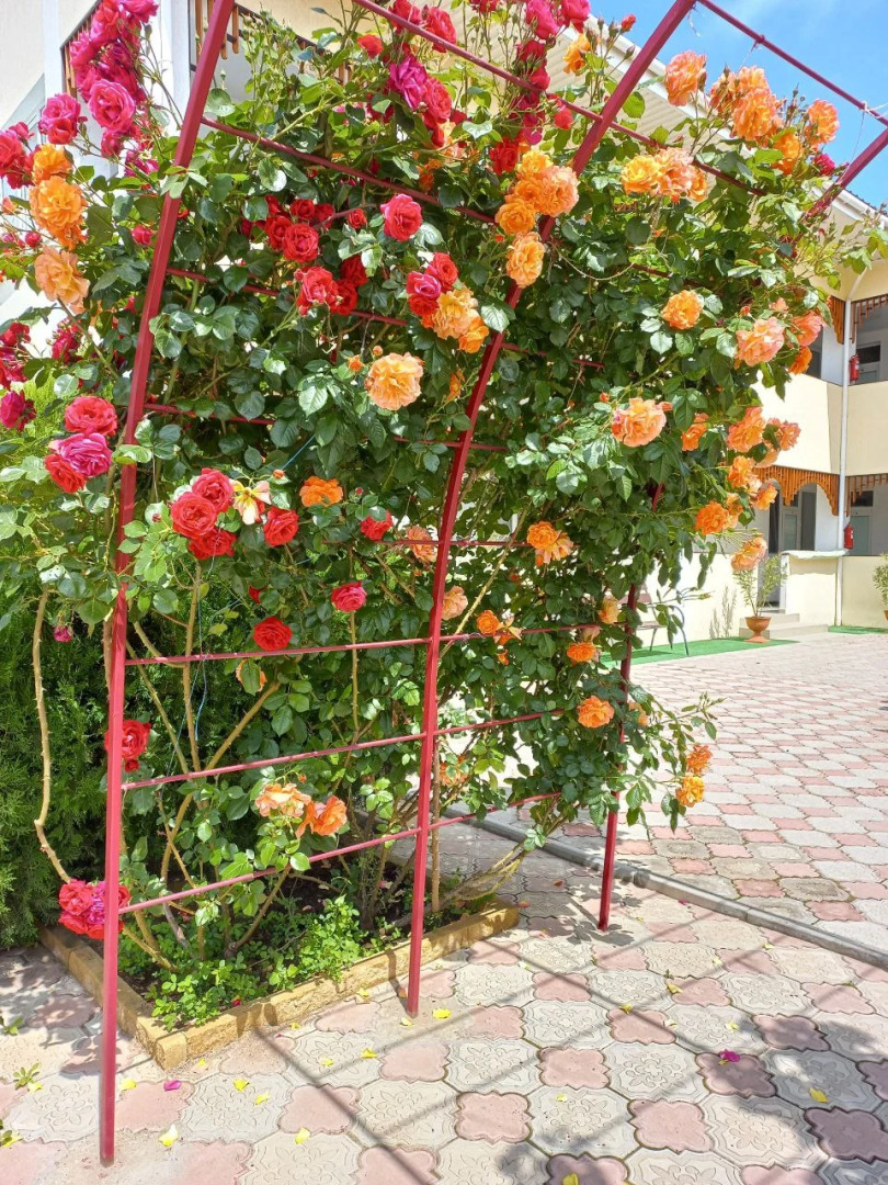 Мини-отель Якорь