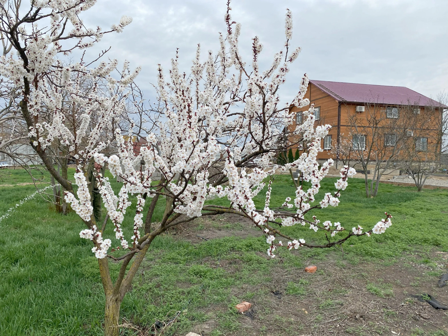 Гостевой дом Бушма