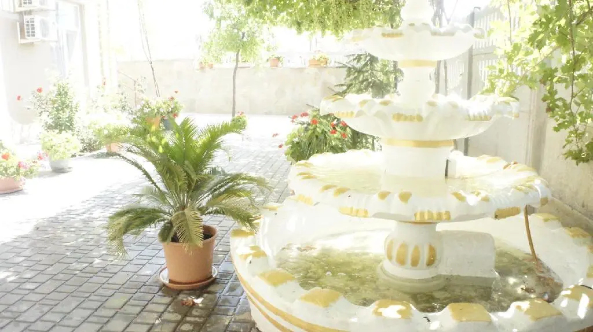 Отель Оазис