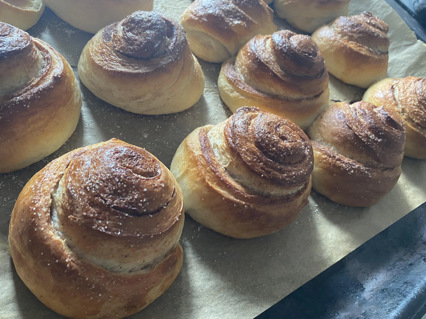 Меблированные комнаты Мещерино