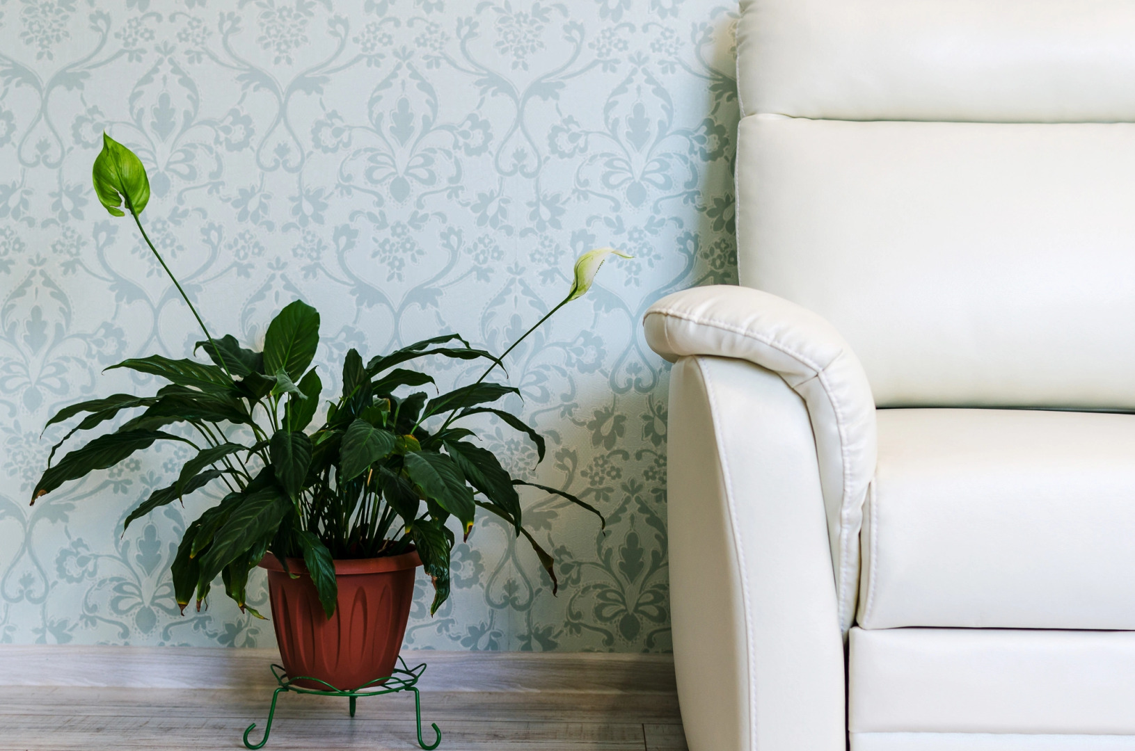 Апартаменты Спортивный квартал