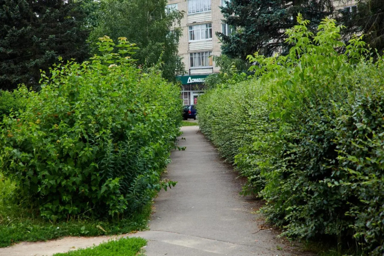 Апартаменты Зеленый Бульвар