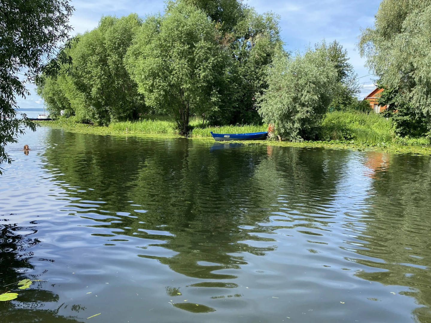 Частный дом в Переславле-Залесском с неповторимой атмосферой домашнего уюта