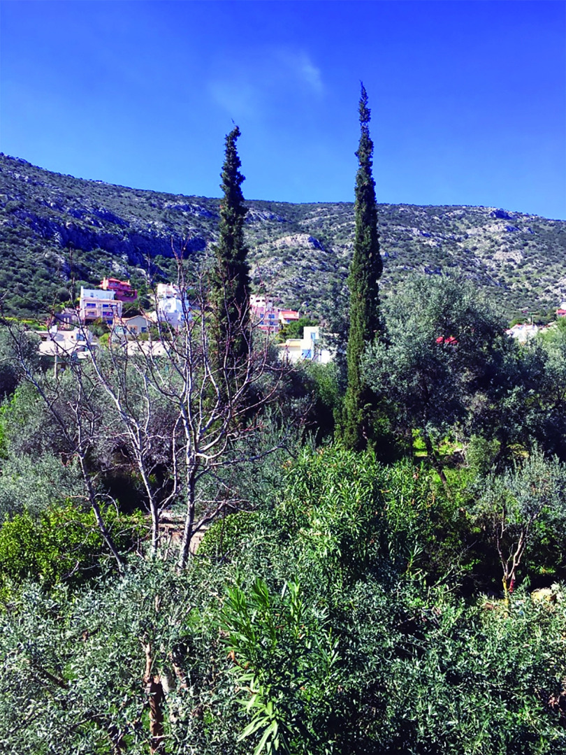 Гостевой Дом Villa Efyra