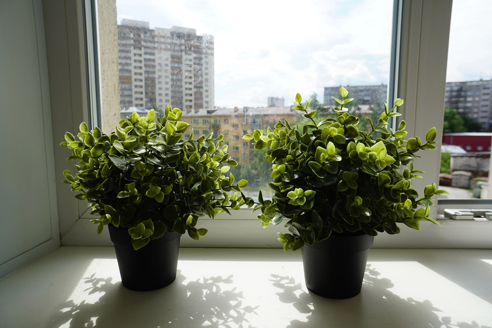 Квартира Галущака 15 (198)