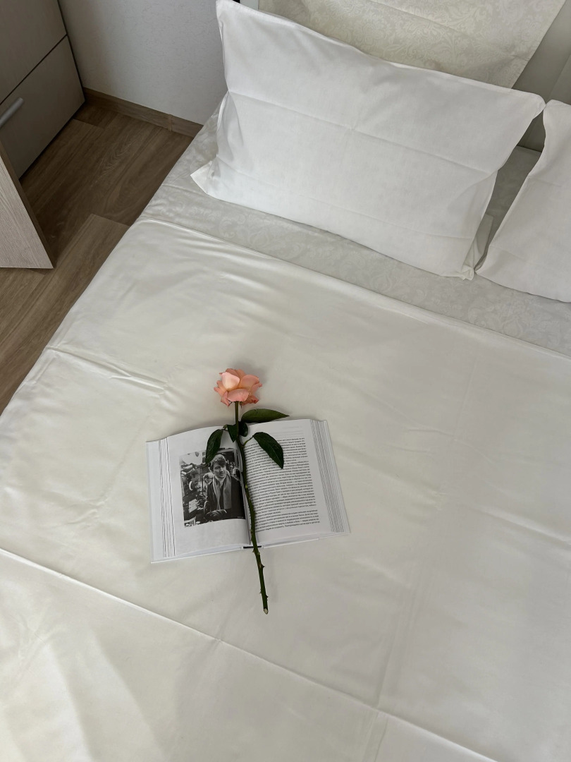 Апартаменты на проспекте Московском 209