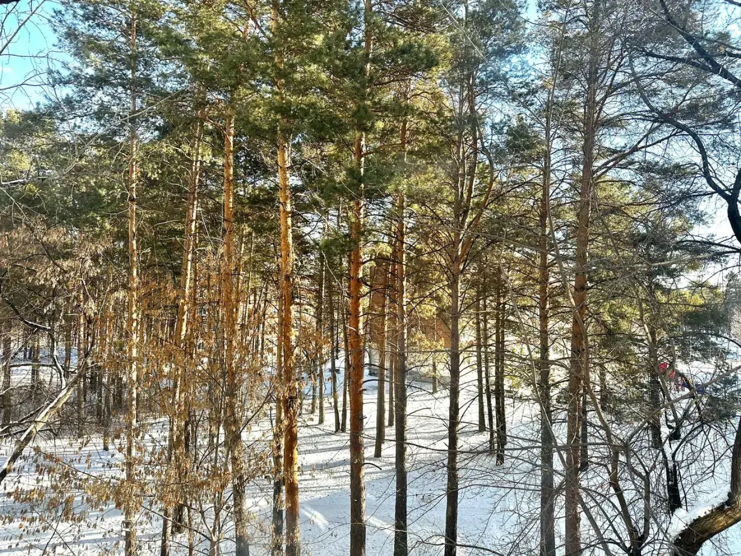 Квартира студия в самом центре с парковкой