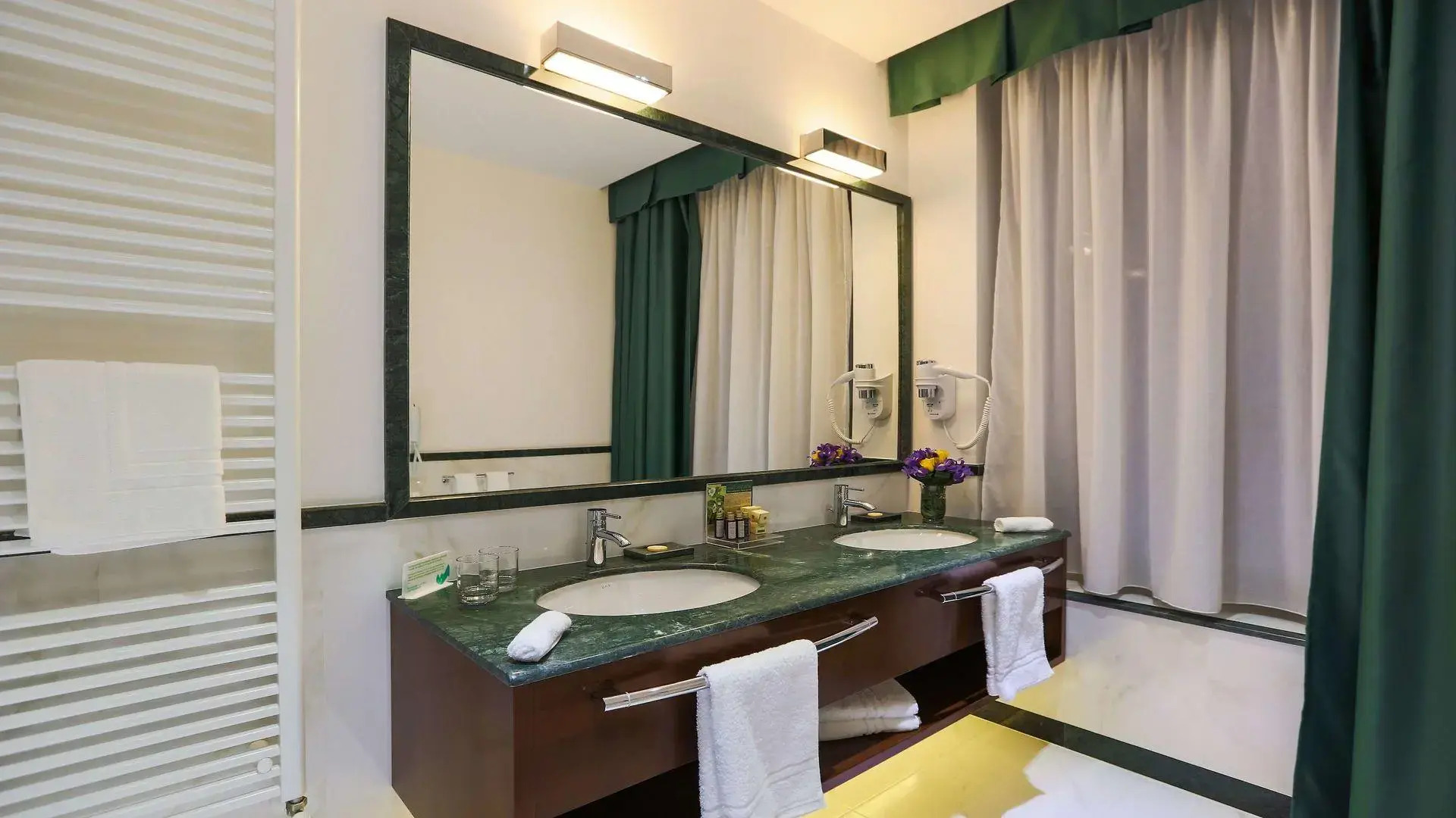 Отель International Iasi