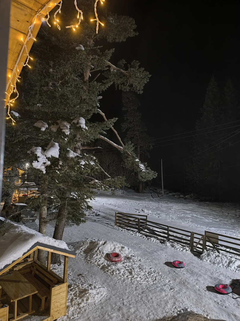 База Отдыха Greenhouse 1599