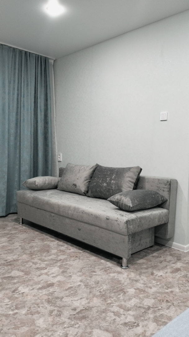 Квартира 1к Володарского 15 Центр