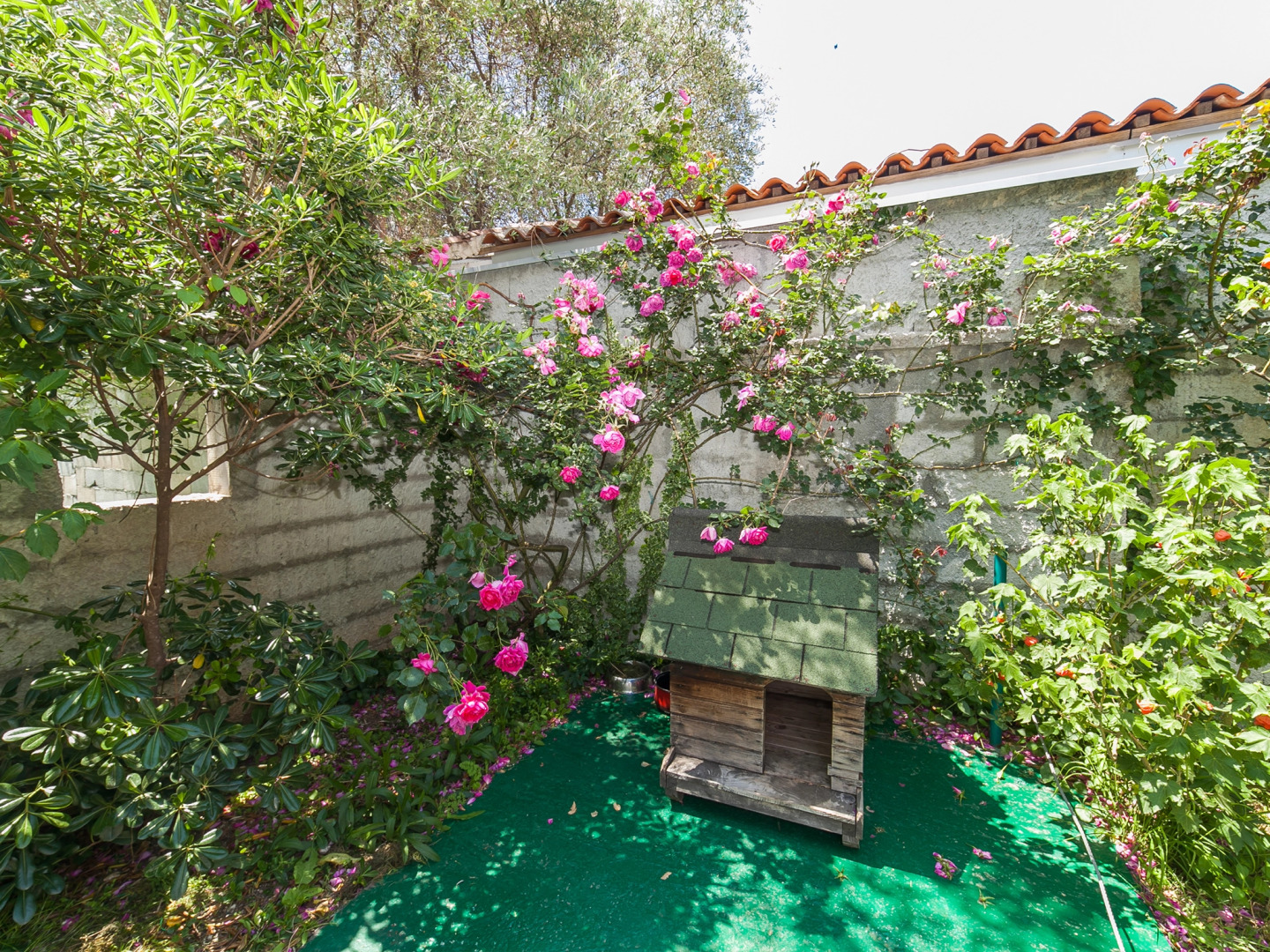 Апартаменты Viktorija