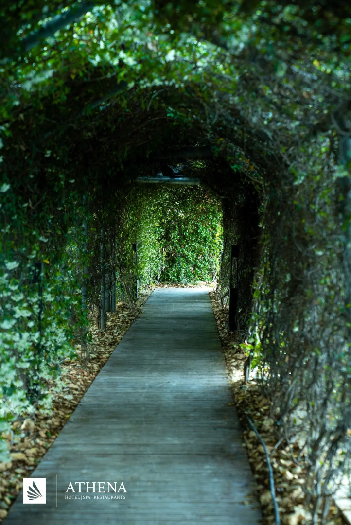 Отель Athena Premium