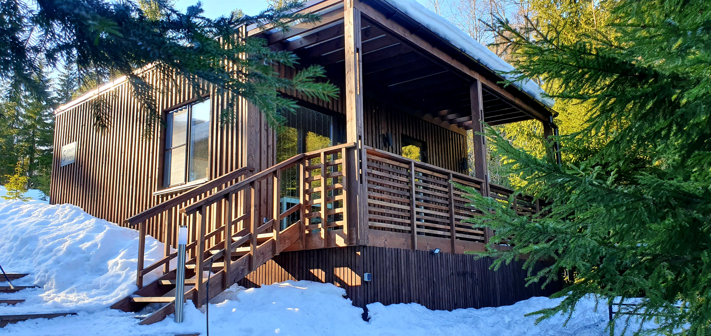 Коттедж Черничный Склон Forest House