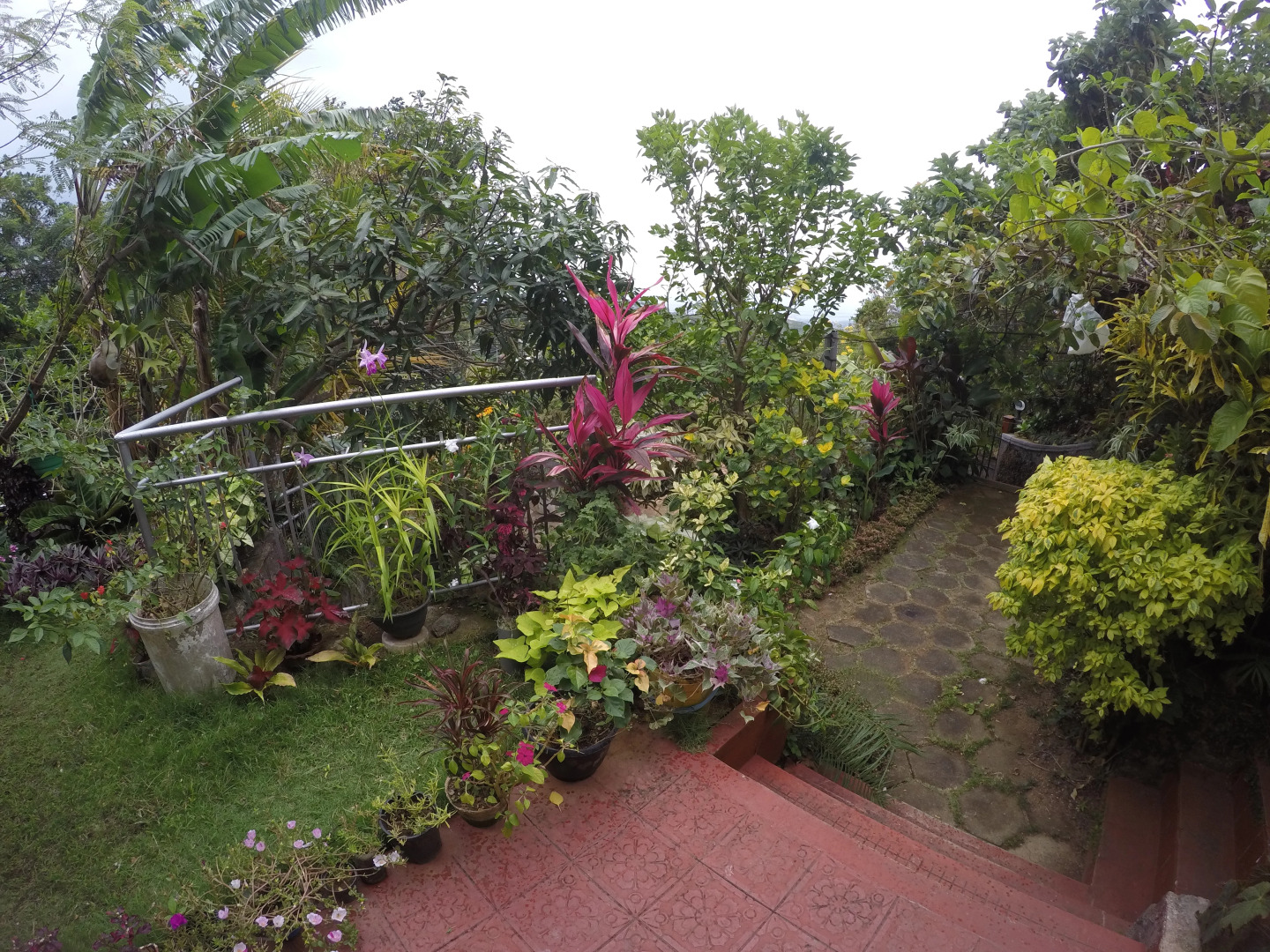 Гостевой Дом Blossom Rest