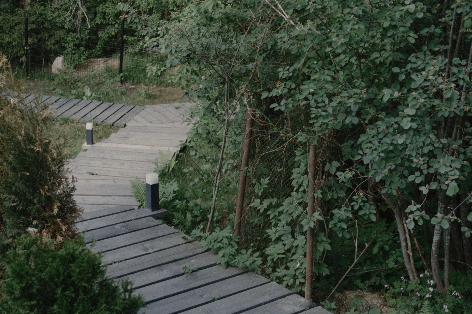 Шале Лесной восход