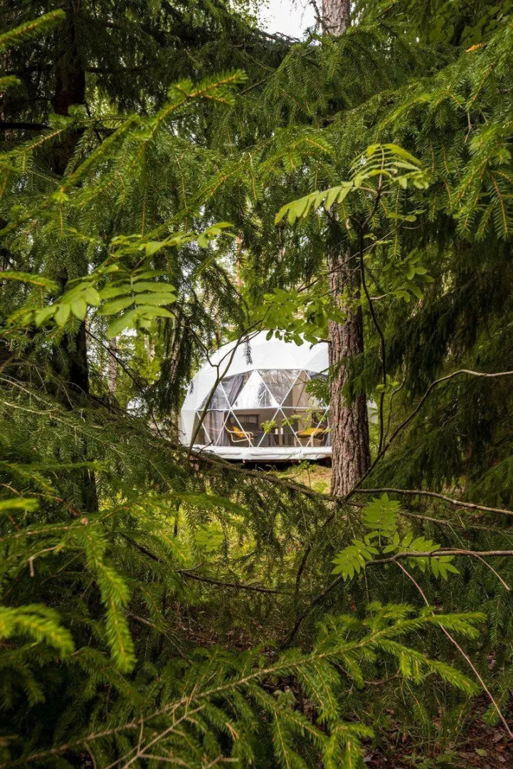 Глэмпинг Vuoksa Camp