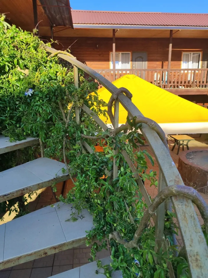 Гостевой дом Морская сказка