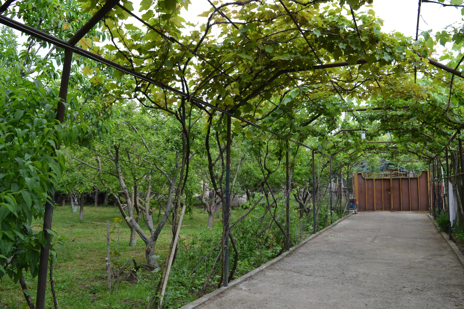 Гостевой Дом Saguramo Garden