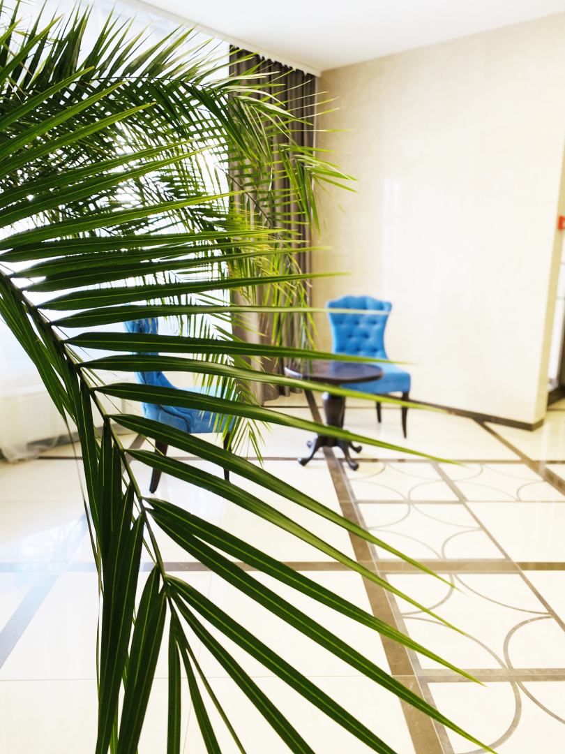 Апартаменты Elagin Studio