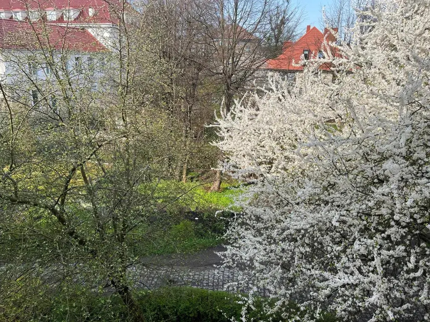 Апартаменты на Чайковского 16 ,Исторический район Хуфен (Бывшая Шуберт штрассе)