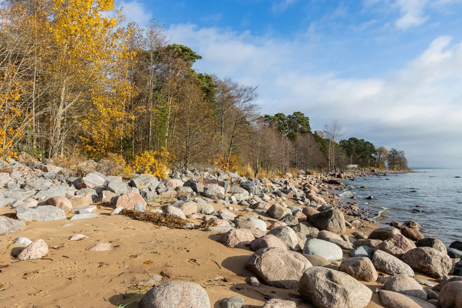 Апартаменты студия 404