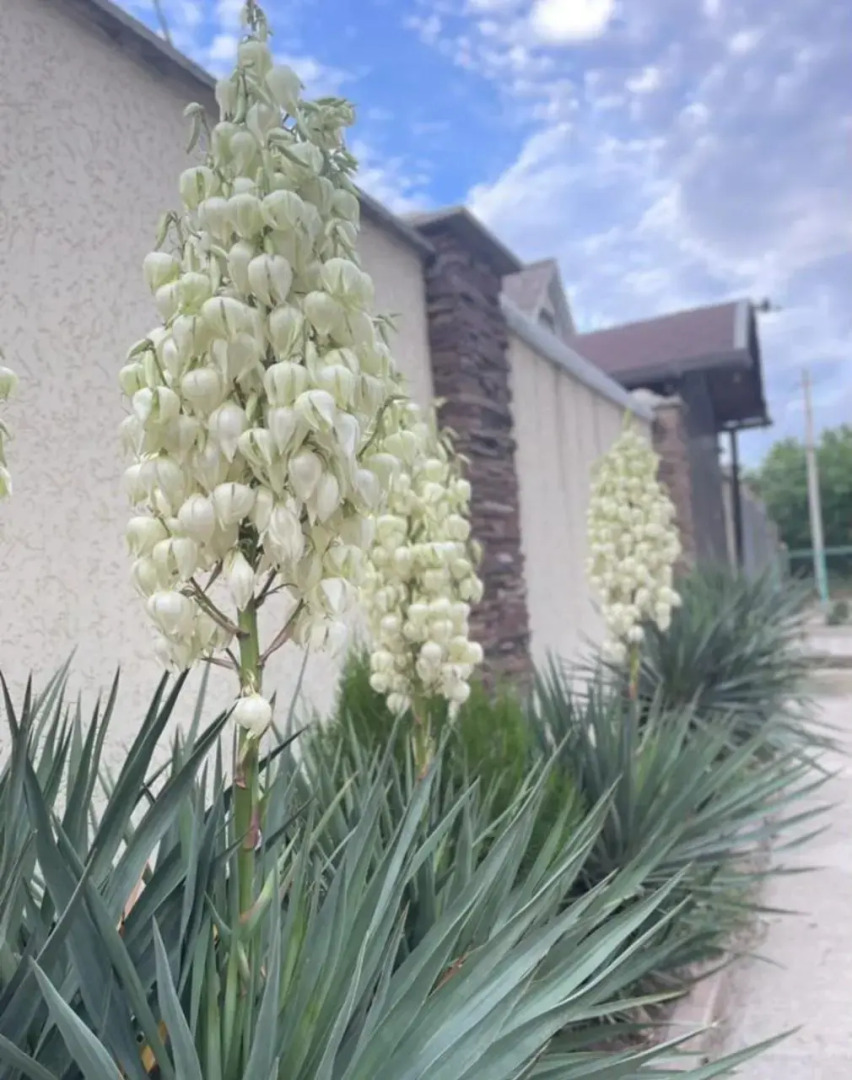 Гостевой дом на Евпаторийском шоссе