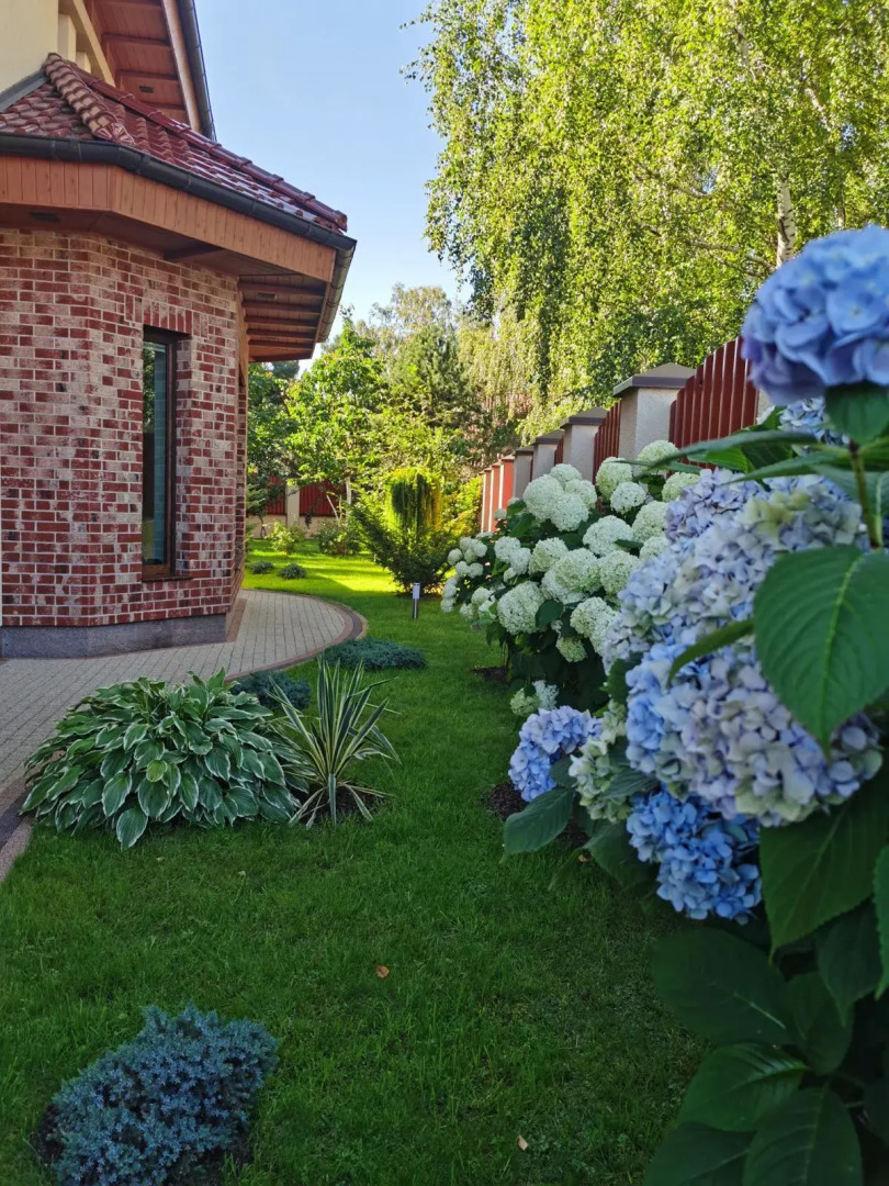 Гостевой дом Forester