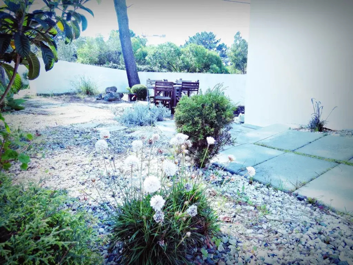 Мини-Отель Residencia Praia Norte  - AL