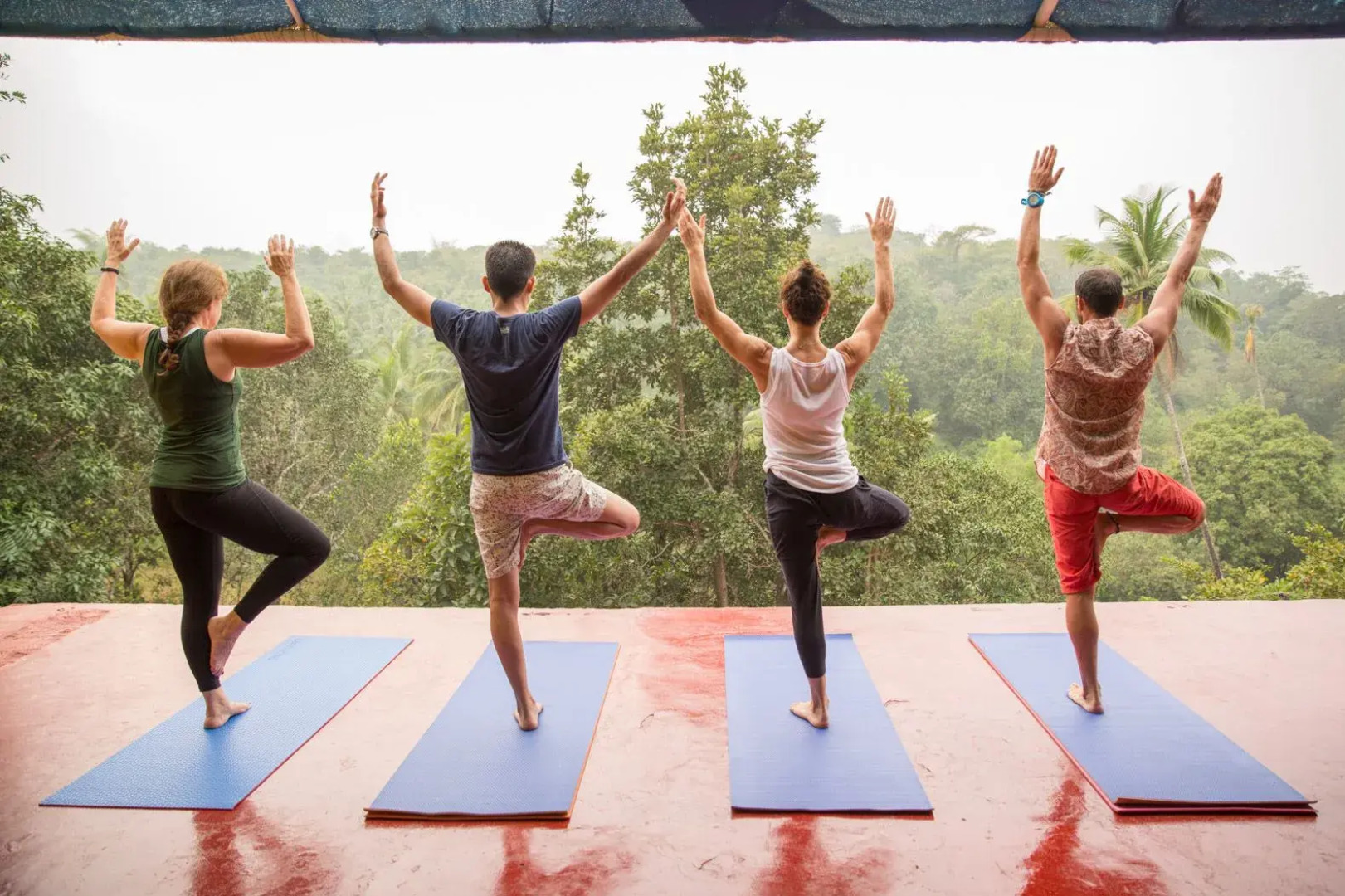 Отель Blue Planet Wellness