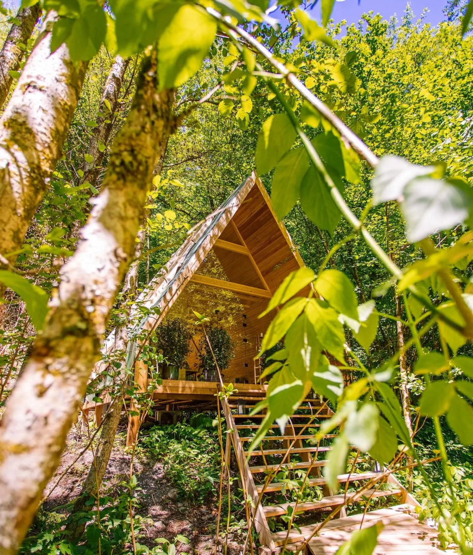 ЛЕС Глэмпинг и SPA