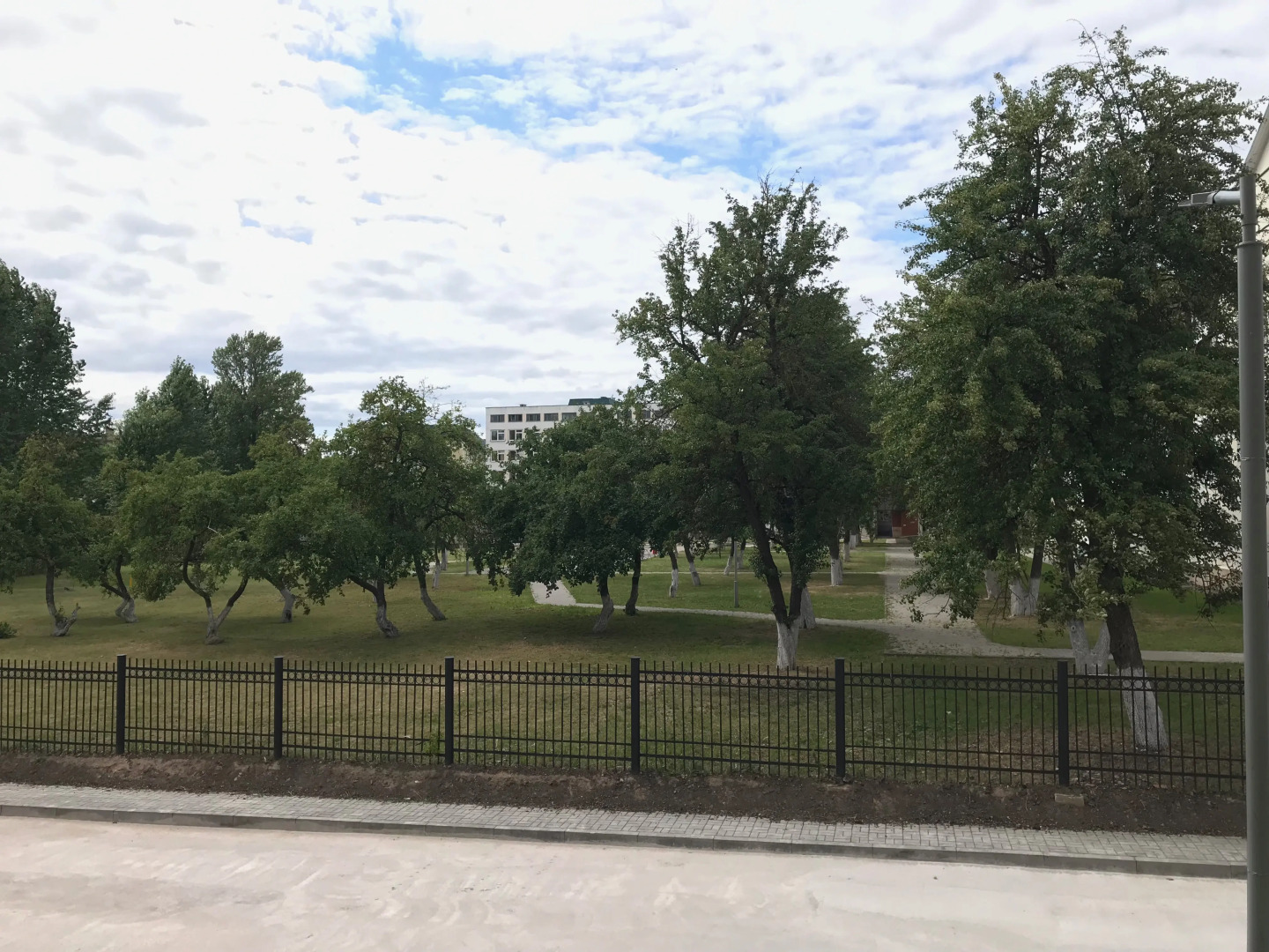 Апартаменты DOMUS Витебск