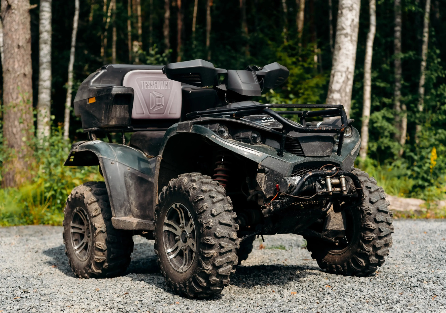 Эко Апартаменты с баней на дровах и бассейном