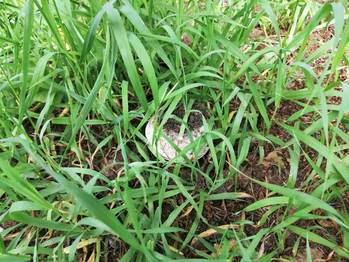 Отель Мудрый Филин