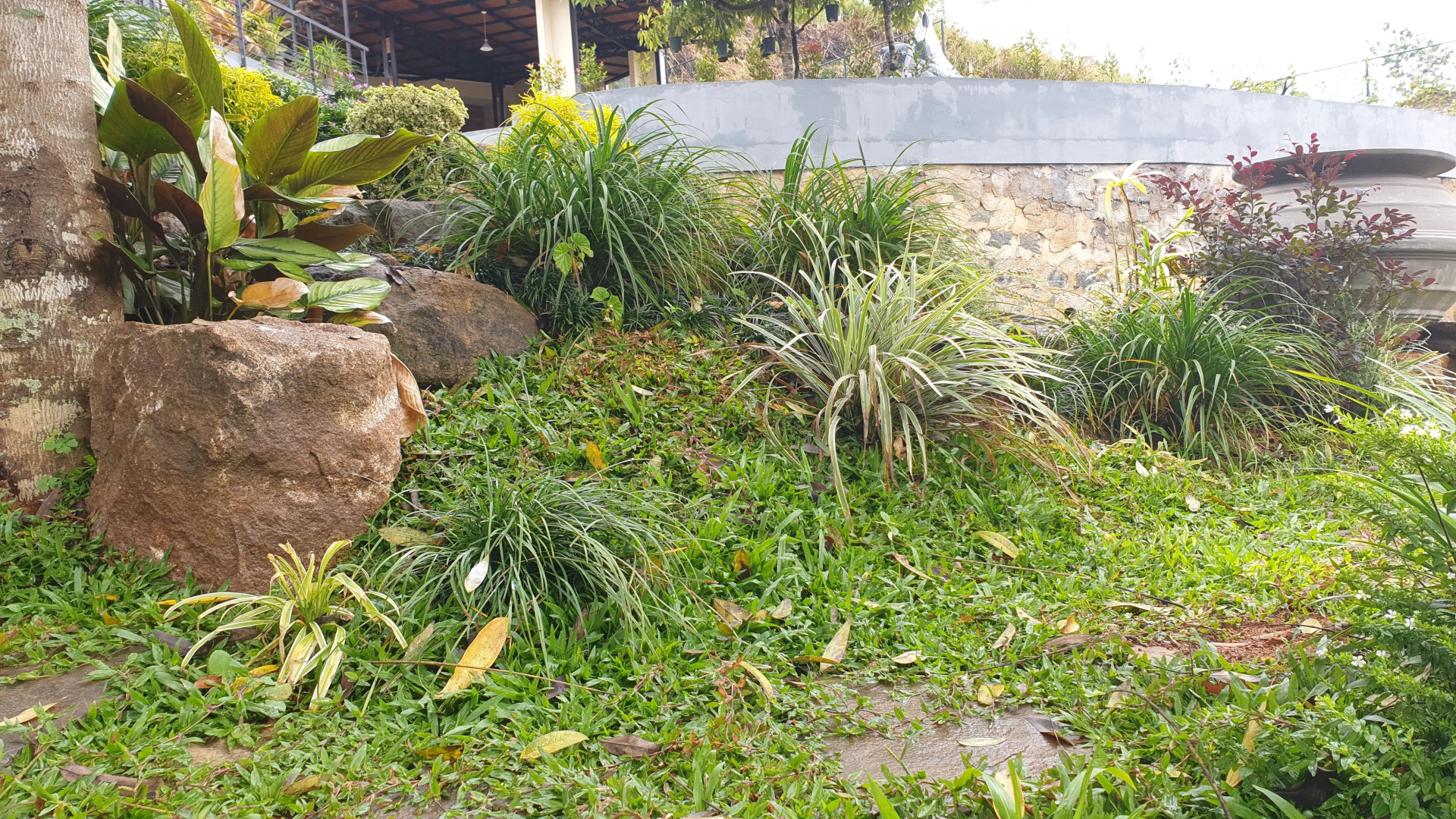 Отель The Cubes Ella