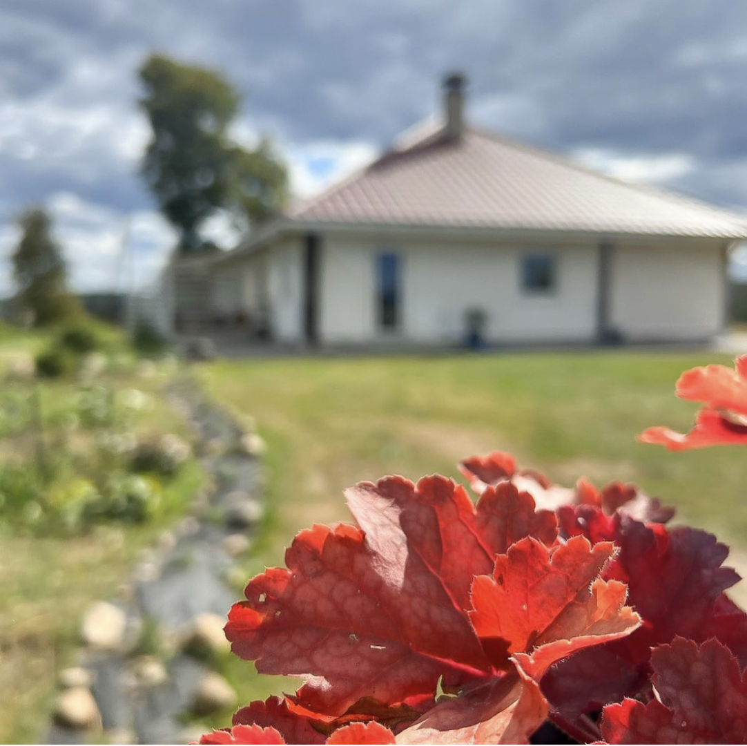 Гостевой дом Art-house