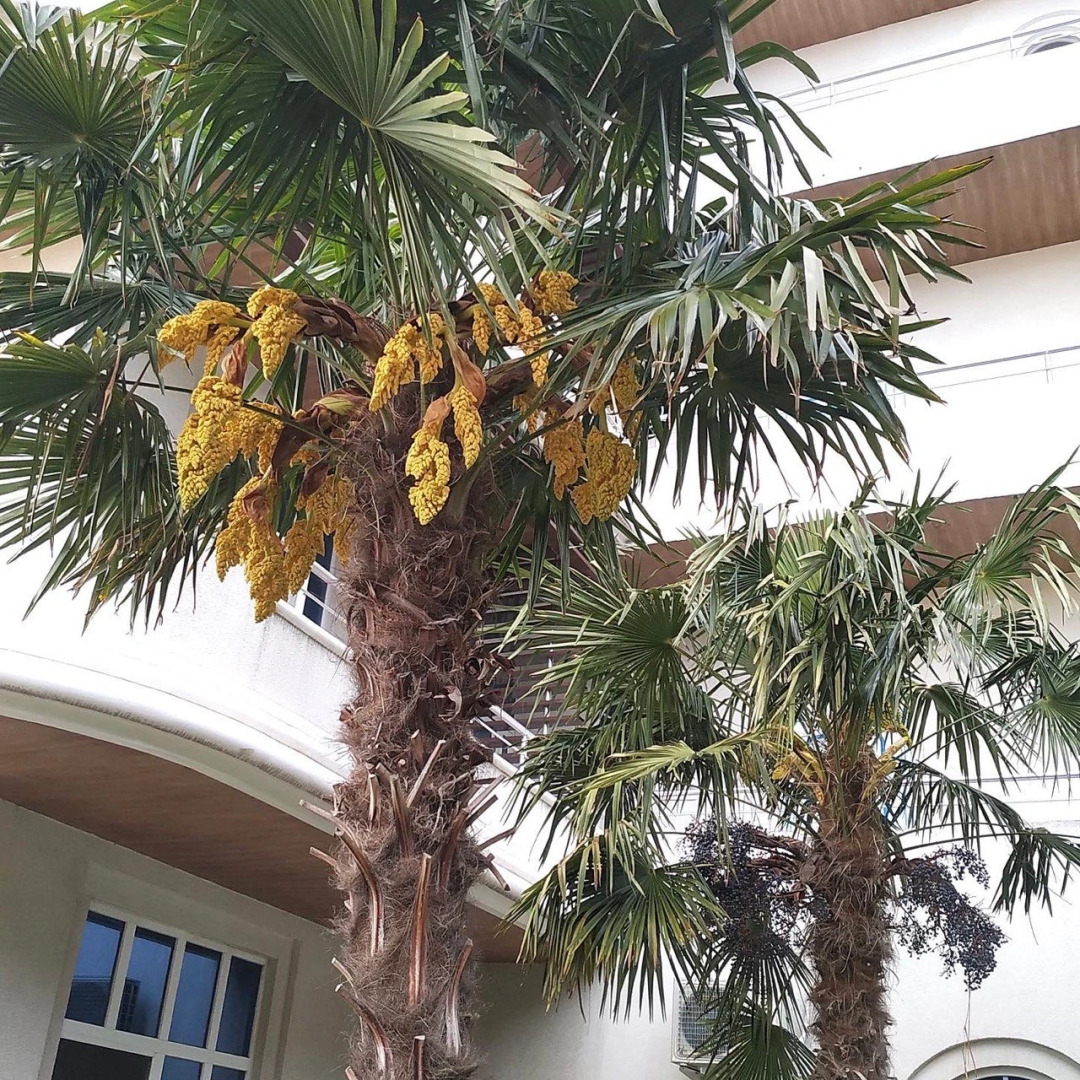 Квартира Бросай якорь здесь