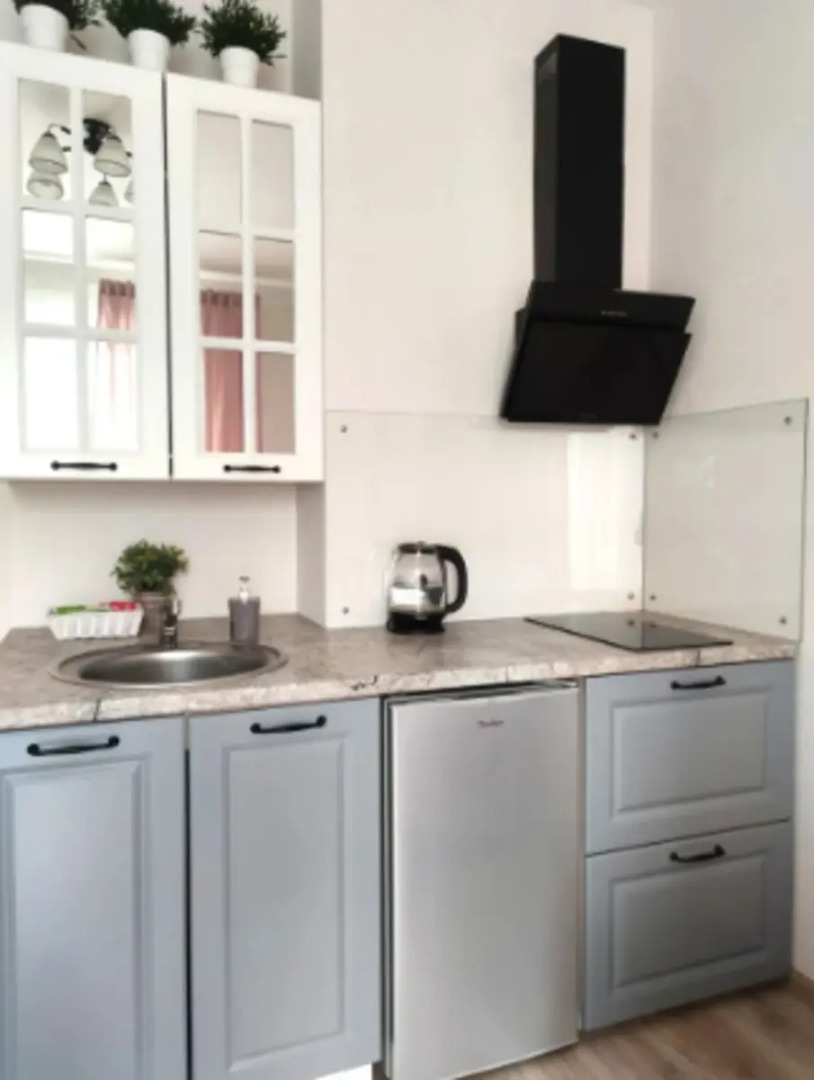 Апартаменты на Революции 48