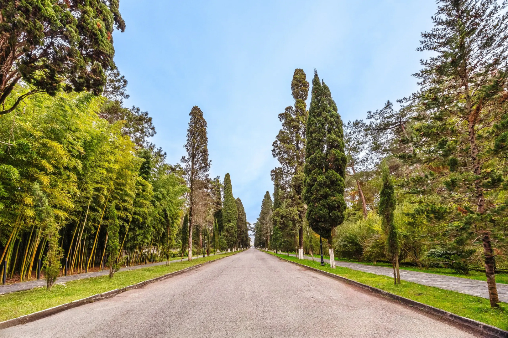 Курортный отель Отель Eco House Pitiunt