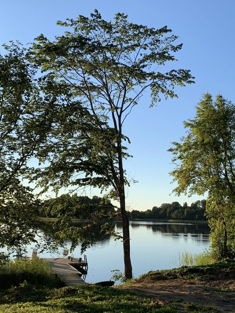 Бунгало Изба на Опушке. Хутор Пралище